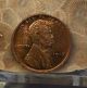 1916 1c Rb Lincoln Cent Small Cents photo 1