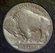 1914 Buffalo Nickel Nickels photo 1