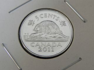 2011 Ms Unc Canadian Canada Beaver Nickel Five 5 Cent photo