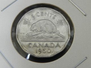 1950 Au Canadian Canada Beaver George Vi 12 Sided Nickel Five 5 Cent photo