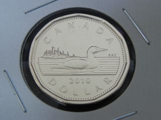 2010 Ms Unc Canadian Canada Loon Loonie One $1 Dollar Low Mintage photo