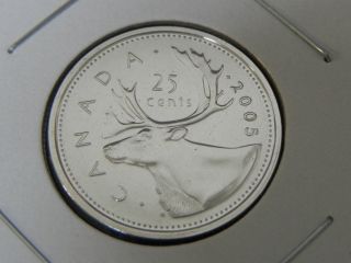 2005p Ms Unc Canadian Canada Caribou Quarter Twenty Five 25 Cent photo