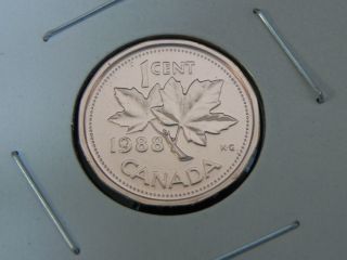 1988 Specimen Unc Canadian Canada Maple Leaf Penny One 1 Cent photo