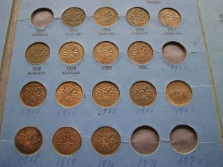 16 Canada One Cent 1954 To 1970 Pennies photo