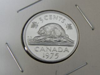 1975 Specimen Unc Canadian Canada Beaver Nickel Five 5 Cents photo