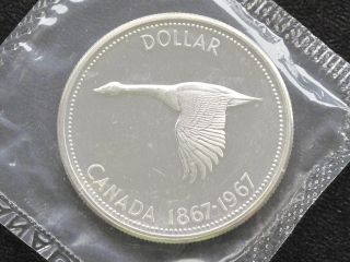 1967 Canada Dollar Elizabeth Ii 80% Silver Proof - Like Coin D0617 photo
