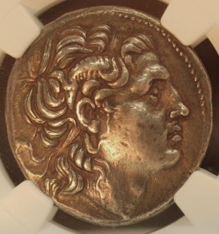 Greek Lysimachus 305 - 281bc Thrace Ar Silver Tetradrachm Xf Ngc 5x5 01162043d photo