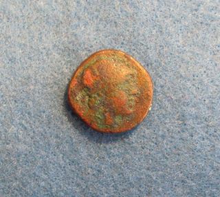 Rare Bronze Coin Of Pontos/amisos 2nd - 1st Cent.  B.  C. photo