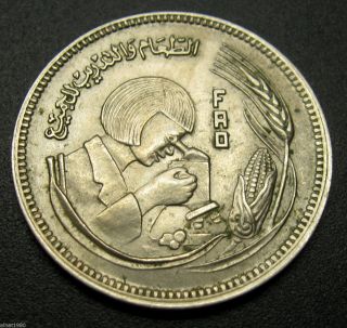 Egypt 5 Piastres Coin Ah 1398 / 1978 Km 478 Fao (a1) photo