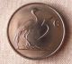 1984 South Africa 5 Cents - Au/unc - Proof Like/proof - Africa photo 1