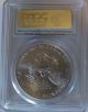 2014 Silver.  999 Eagle Ms69 Struck At San Francisco Pcgs First Strike 32 Silver photo 1