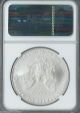 Silver American Eagle 2008 W Burnished Ngc Early Releases Ms69 Low Population Silver photo 1
