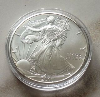 2001 Silver American Eagle Dollar Encapsulated Coin - State photo