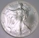 2007 - W $1 Silver American Eagle Ngc Ms - 70 Silver photo 1