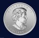 2014 Canada 1.  5 Oz $8 Arctic Fox.  999 Pure Silver Coin Brilliant Uncirculated Coins: Canada photo 1