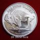 Solid Silver Round 1 Troy Oz Buffalo Indian Head.  999 Fine Regency Bu Silver photo 3