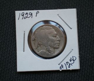 1929 Buffalo Nickel Indian Head Nickel photo