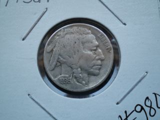 1936 Buffalo Nickel Indian Head Nickel photo