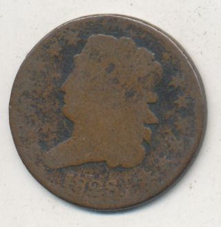 1828 Classic Head Half Cent 13 Stars Circulated Copper Type Coin photo
