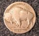 1927 - D Buffalo Nickel Nickels photo 1