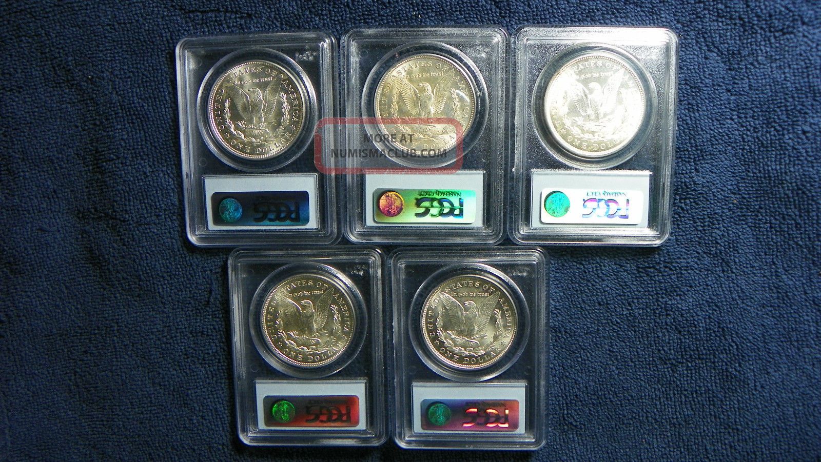 Five 1921 Silver Dollar Morgan Pcgs Ms63