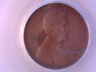 1909 Svdb Cent Pcgs Vf35 photo