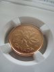 2008 Canada 1 - Cent - Copper Plated Steel - Magnetic - Ngc Ms67 Red Coins: Canada photo 2