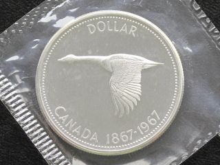 1967 Canada Dollar Elizabeth Ii 80% Silver Proof - Like Coin D0615 photo