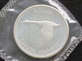 1967 Canada Dollar Elizabeth Ii 80% Silver Proof - Like Coin D0620 photo