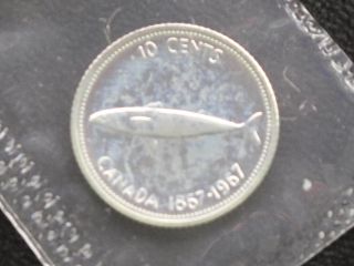 1967 Canada Ten Cents Elizabeth Ii Silver Proof - Like Coin D0572 photo