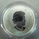 Canadian 2012 $10 Fine Silver Coin Year Of The Dragon 1/2 Oz Canada Envelope&coa Coins: Canada photo 9