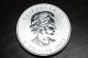 2013 Canada $8 Polar Bear 1.  5oz. .  999 Pure Silver Coin Coins: Canada photo 1