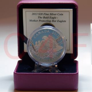 2013 - The Bald Eagle: Mother Protecting Her Eaglets - $20 1 Oz Fine Silver Coin photo
