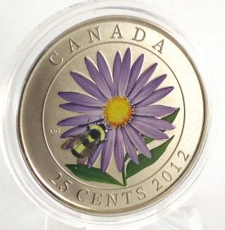 Canada 2013 Aster & Bee Specimen With Full Color 25 - Cent Coin Mintage 20,  000 photo