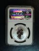 1998 Silver Canada $5 Dollar Maple Leaf Tiger Privy Mark Ngc Sp68 Coin.  9999 Coins: Canada photo 1