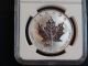 1998 Silver Canada $5 Dollar Maple Leaf Tiger Privy Mark Ngc Sp68 Coin.  9999 Coins: Canada photo 2
