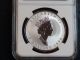 1998 Silver Canada $5 Dollar Maple Leaf Tiger Privy Mark Ngc Sp68 Coin.  9999 Coins: Canada photo 3