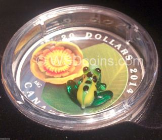2014 $20 Water - Lily And Venetian Glass Leopard Frog 1oz Silver Coin In Hand photo