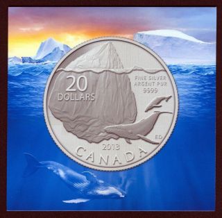 2013 Canada Twenty Dollar ($20) 99.  99% Pure Fine Silver Coin W/ Iceberg & Whale photo