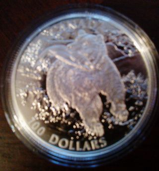 2014 Canada One Hundred Dollar ($100) 99.  99% Pure Fine Silver Coin – The Grizzly photo