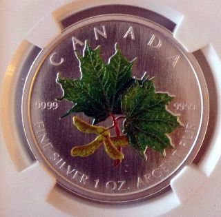 Canada Specimen 5$ 2002 Spring Ngc Sp67 1oz Pure Silver Color Maple Leafs photo