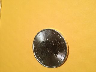 2014 $5 Maple Leaf/ag Silver Bullion photo