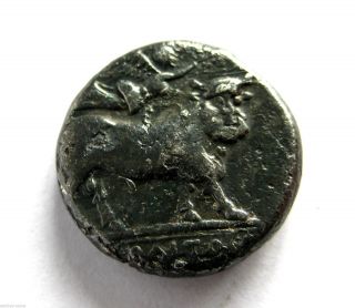 Scarce C.  370 B.  C Ancient Greece Campania - Neapolis Silver Stater Coin.  Vf photo