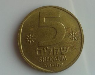Israel Coin 5 Five Shekel Collect Money Unusual Rare Old Jewish Money 1981 Cash photo