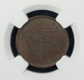 Palestine 1 Mil 1935 Ngc Ms 63 Bn Unc Bronze Sharp Looking Coin photo