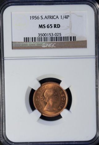 1956 South Africa 1/4 Penny Ngc Ms 65 Rd Unc Bronze photo