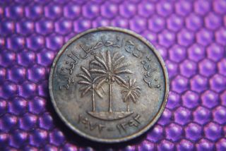 United Arab Emirates Small 1973 Oil Embargo Era Coin/ Us Ship/$1.  00 Int photo