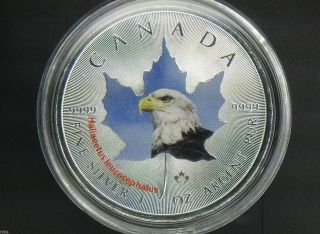 2014 Canada 1 Oz Coloured Silver Maple Leaf.  9999 Eagle Canadian Wildlife photo