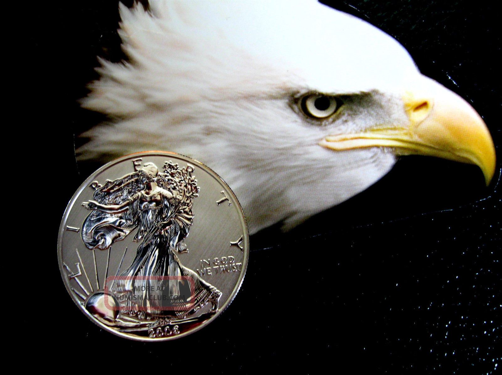 2006 Silver Eagle Reverse Proof A " Rare Coin