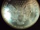 Coinhunters - 1995 American Silver Eagle - State - Rainbow Toned Silver photo 4